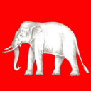 Customer profile logo