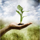 Customer profile logo