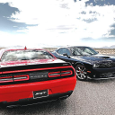 Customer profile logo