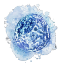 Customer profile logo