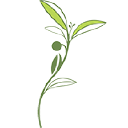 Customer profile logo