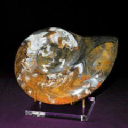 Customer profile logo