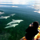 Customer profile logo