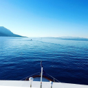 Customer profile logo