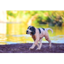 Customer profile logo