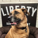 Customer profile logo