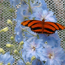 Customer profile logo