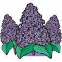 Customer profile logo