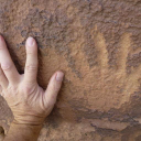 Customer profile logo