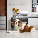 Customer profile logo