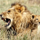 Customer profile logo