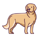 Customer profile logo