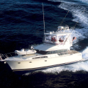 Customer profile logo