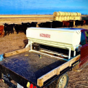 Customer profile logo