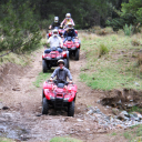 Customer profile logo