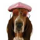 Customer profile logo