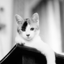 Customer profile logo