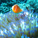 Customer profile logo