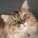 Customer profile logo