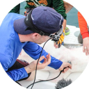 Customer profile logo