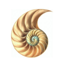 Customer profile logo