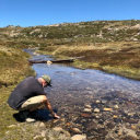 Customer profile logo