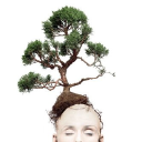 Customer profile logo