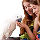 Customer profile logo