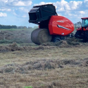 Customer profile logo