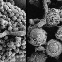 Customer profile logo