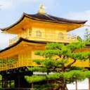 Customer profile logo