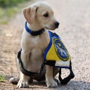 Customer profile logo