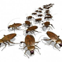 Customer profile logo