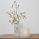 Customer profile logo