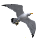 Customer profile logo