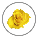 Customer profile logo
