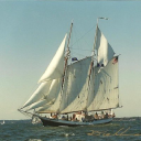 Customer profile logo