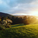 Customer profile logo