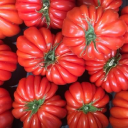 Customer profile logo