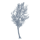Customer profile logo