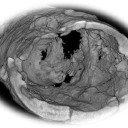 Customer profile logo