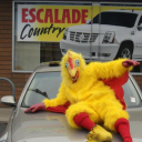 Customer profile logo