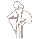 Customer profile logo