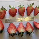 Customer profile logo