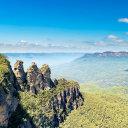 Customer profile logo