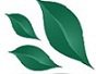 Customer profile logo