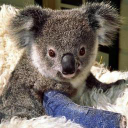 Customer profile logo