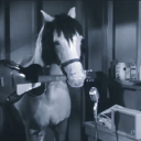 Customer profile logo