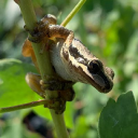 Customer profile logo