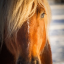 Customer profile logo